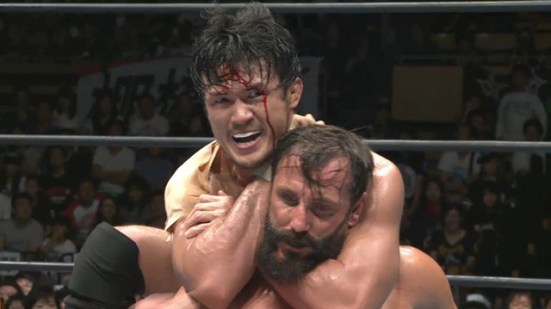 fish-and-shibata
